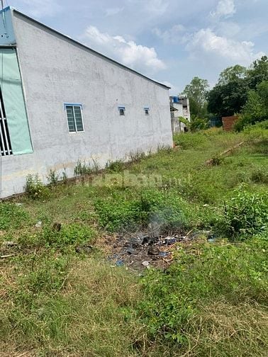 Chủ cần tiền trả nợ cho con út bán-Đức Hòa Thượng 7x32 ,224m2 850tr