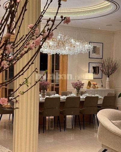 Bán Biệt Thự Việt Hưng – Long Biên, 5 Tầng – 140m² –  Nhỉnh 38 Tỷ