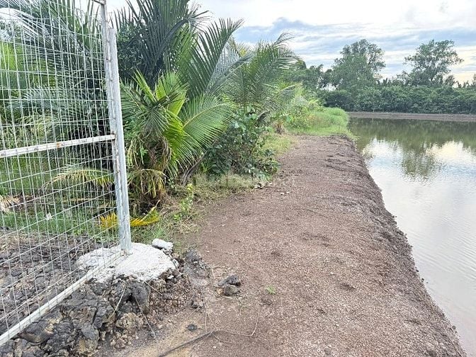 Cần bán 377m2 đất cây lâu năm đường liên ấp 2-3, Hiệp Phước, Nhà Bè 