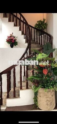 Hẻm xe hơi. Trần Qua diệu. F14. Q3. DT: 4,8x15m. KC4 Tầng giá 10,8 tỷ