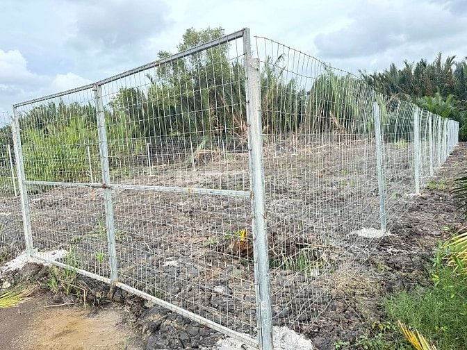 Cần bán 377m2 đất cây lâu năm đường liên ấp 2-3, Hiệp Phước, Nhà Bè 