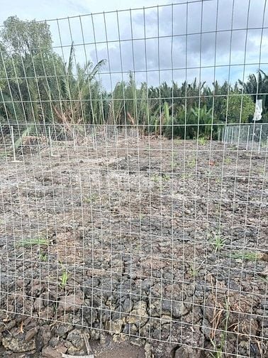 Cần bán 377m2 đất cây lâu năm đường liên ấp 2-3, Hiệp Phước, Nhà Bè 