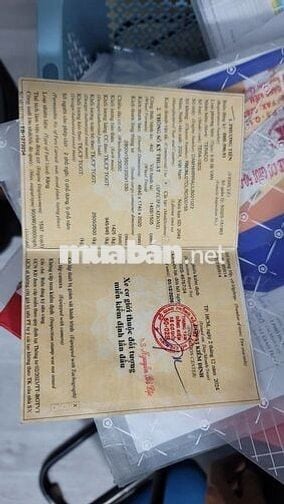 Xe van Teraco 2024 tải 945kg