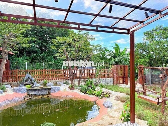 463m2 HOÀ PHÚ,HOÀ VANG đường 3,5m có sẵn homestay tiện kinh doanh 3ty3