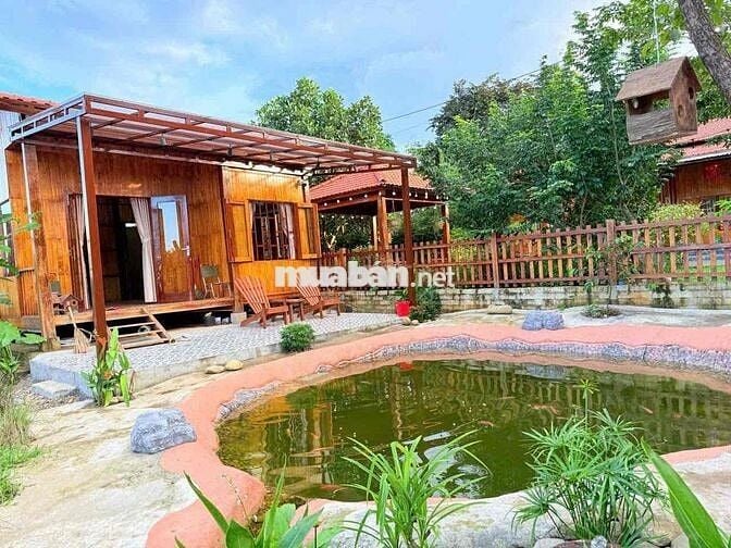 463m2 HOÀ PHÚ,HOÀ VANG đường 3,5m có sẵn homestay tiện kinh doanh 3ty3