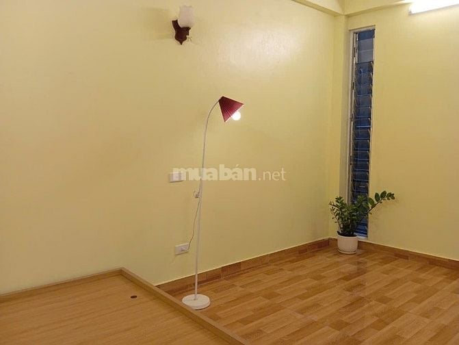 Cho thuê nhà đường xuân diệu/Đặng Thai mai