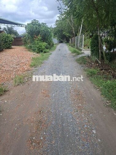 Đất Chính chủ full thổ cư 100% bao rẻ nhất thị trường