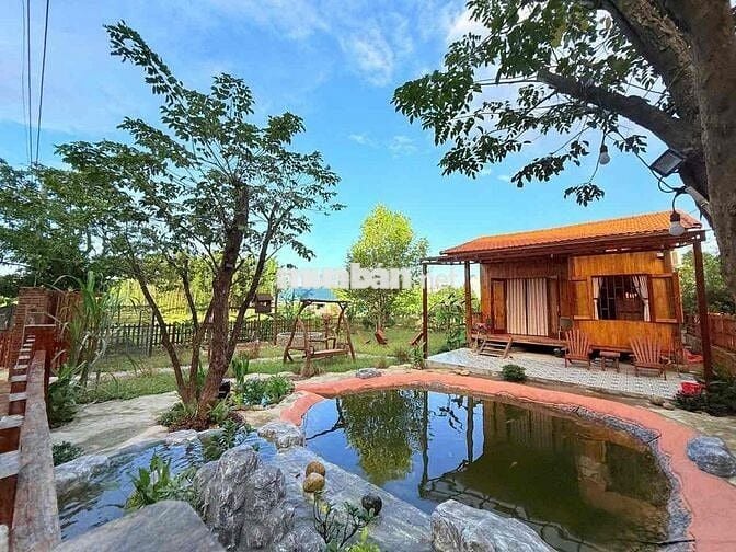 463m2 HOÀ PHÚ,HOÀ VANG đường 3,5m có sẵn homestay tiện kinh doanh 3ty3