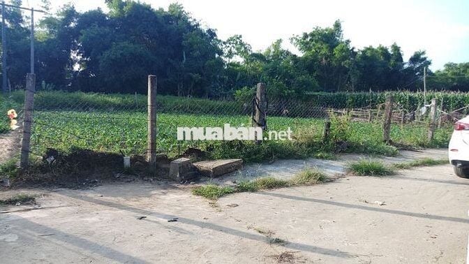 🏡 BÁN GẤP LÔ ĐẤT ĐẸP NGAY TRUNG TÂM HUYỆN DUY XUYÊN, SỔ ĐỎ CHÍNH CHỦ