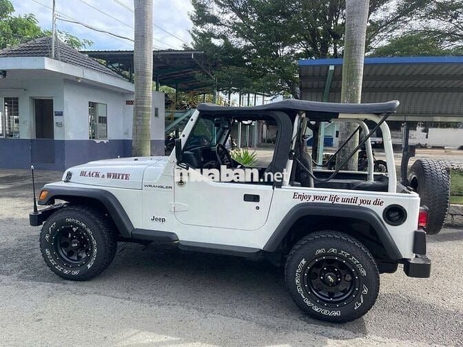 Jeep Wrangler 2003 - 96000 km - mới độ lại
