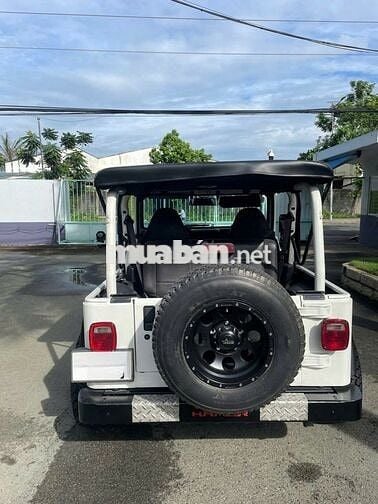 Jeep Wrangler 2003 - 96000 km - mới độ lại