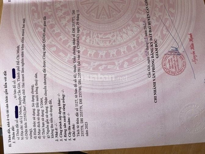 Bán đất Mặt Tiền Đường gốc tre thuộc xã lý nhơn cần giờ TP HCM 