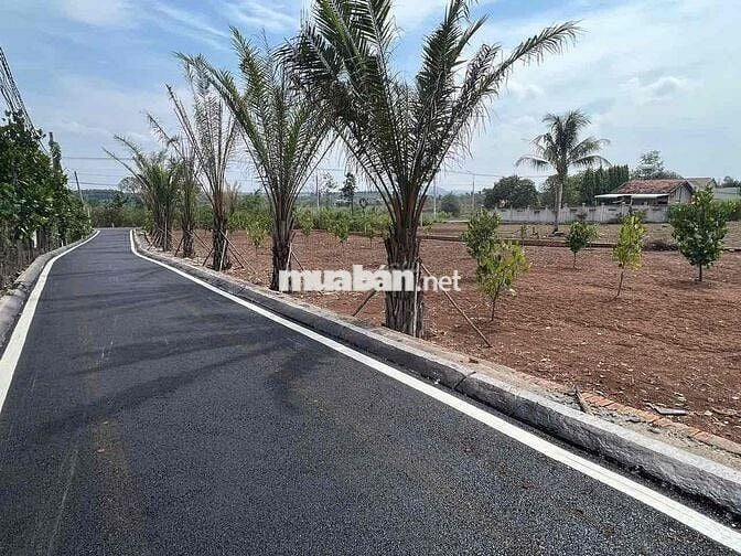 mặt tiền đường nhựa DT773.trung tâm xã xuân tây