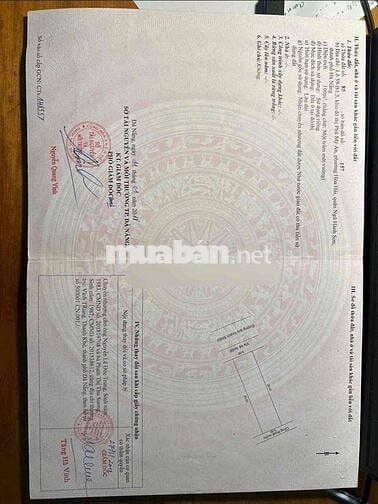 FPT ĐÀ NẴNG, VÙNG TRUNG 12, NHÌN CÔNG VIÊN