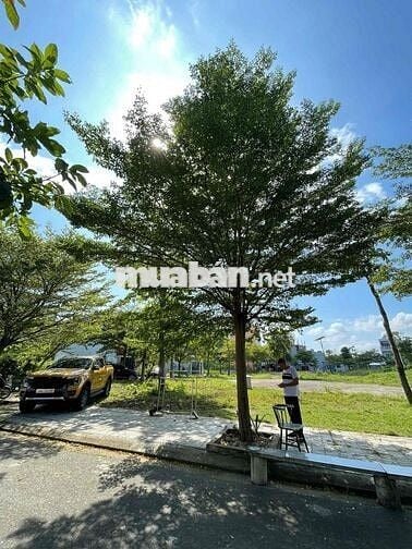 FPT ĐÀ NẴNG, VÙNG TRUNG 12, NHÌN CÔNG VIÊN