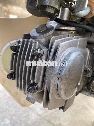 Dream thái zin 9 chủ