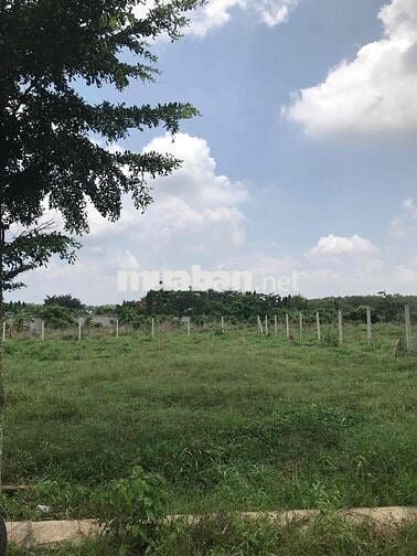 CHÍNH CHỦ BÁN LỖ ĐẤT THỔ CƯ SÔNG XOÀI CHO ANH CHỊ ĐẦU TƯ