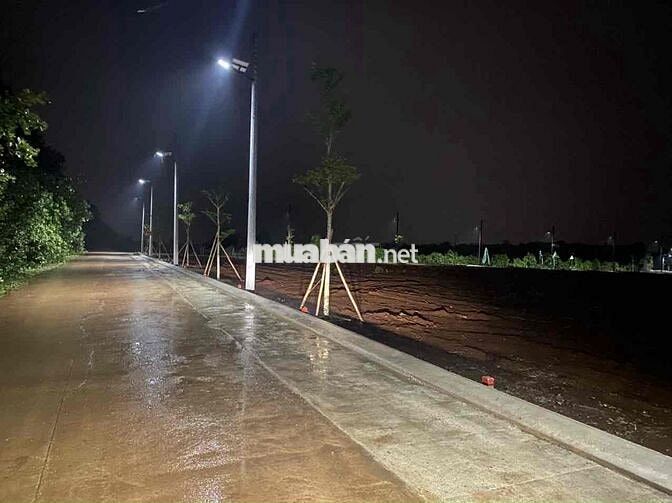 CHÍNH CHỦ BÁN LỖ ĐẤT THỔ CƯ SÔNG XOÀI CHO ANH CHỊ ĐẦU TƯ