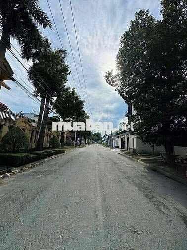 ĐẤT XÂY BIỆT THỰ ĐƯỜNG 12M , XÂY TỰ DO KHU DÂN TRÍ CAO