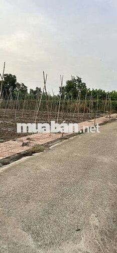 🔥 Cần bán gấp 134.9m², Cẩm Mỹ, Đồng Nai– Giá chỉ 830 triệu!!!