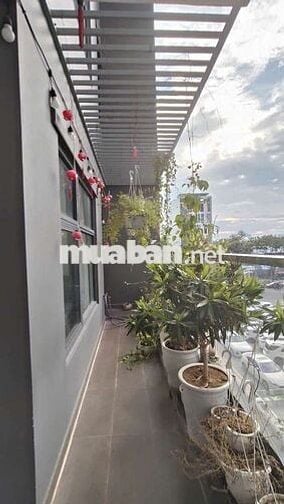 Cho thuê căn hộ 2 phòng ngủ Chung Cư Monarchy B