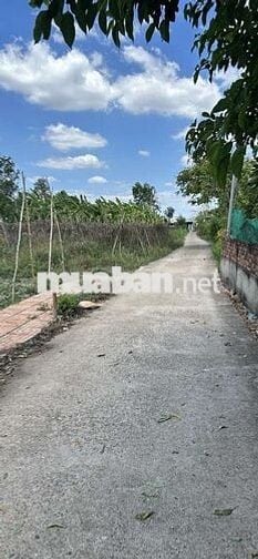 🔥 Cần bán gấp 134.9m², Cẩm Mỹ, Đồng Nai– Giá chỉ 830 triệu!!!