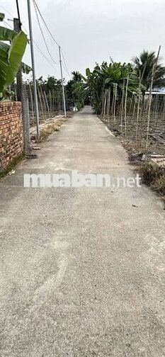 🔥 Cần bán gấp 134.9m², Cẩm Mỹ, Đồng Nai– Giá chỉ 830 triệu!!!