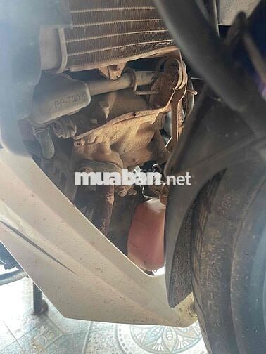 ex 2010 nguyên rin mộc