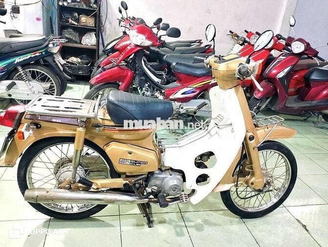 ♥️Honda Cub 84 xe có đề 50cc gtdd ful chức năng ❤️