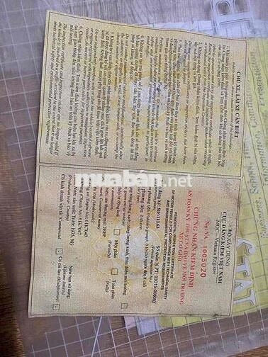 Kia Sportage 1998 - 9 km