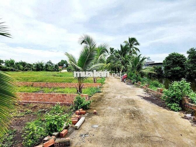 ĐẤT NHÀ VƯỜN TRẢNG BÀNG TÂY NINH, SHR, 600M2 GIÁ 800 TRIỆU