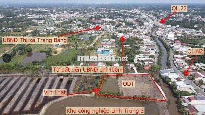 ĐẤT NHÀ VƯỜN TRẢNG BÀNG TÂY NINH, SHR, 600M2 GIÁ 800 TRIỆU
