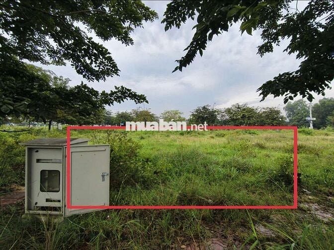 Đất Khu Tái Định Cư Kp1 Phú Mỹ, Thủ Dầu Một, Bình Dương đường ĐX-002