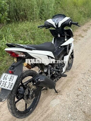 Winner V1 kiểng nhẹ