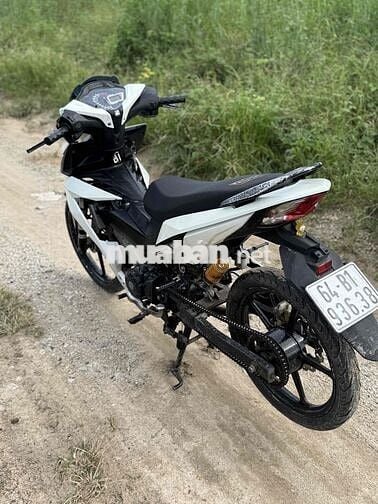 Winner V1 kiểng nhẹ