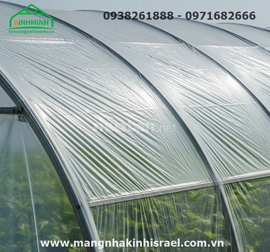 Màng Nhà Kính:Mang Lại Hiệu Quả Kinh Tế Vượt Trội