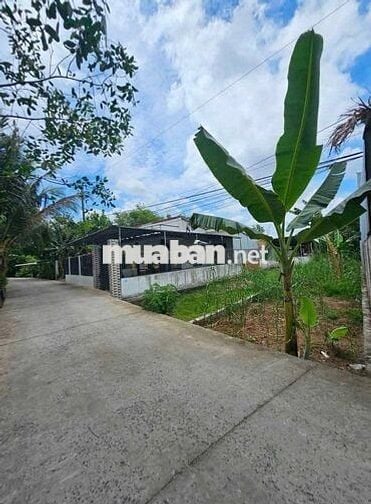 Bán đất nền thổ cư diện tích 120m2 bán chưa tới 1,5 tỷ