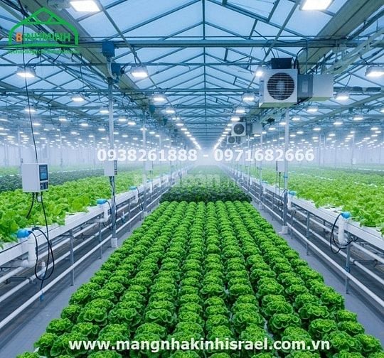 Màng Nhà Kính:Mang Lại Hiệu Quả Kinh Tế Vượt Trội