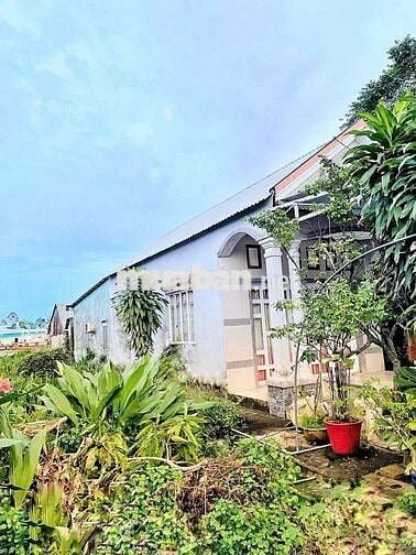 🏡 BÁN NHÀ ẤP VĨNH PHÚ – XÃ VĨNH HÒA PHÚ, HUYỆN CHÂU THÀNH,KIÊN GIANG