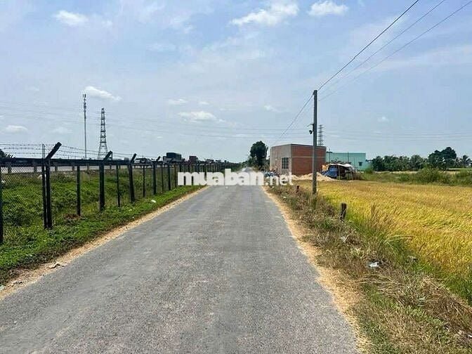 🌹 Đất thổ+lúa dt 1008m có 470m thổ còn lại lúa giá 2tỷ8 thanh đức B,L