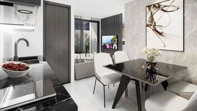 Cho thuê căn hộ Studio tách bếp mới keng ngay trung tâm thành phố