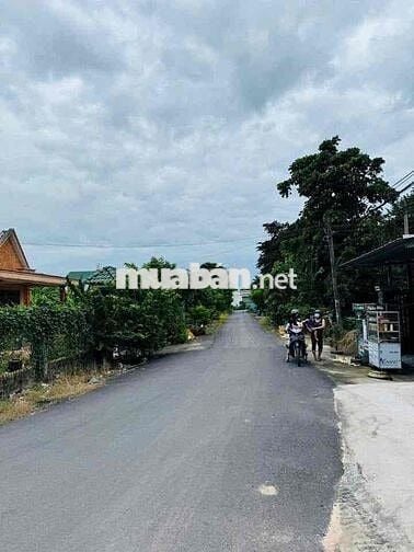 🏡 BÁN LÔ ĐẤT ĐẸP – XÃ TÂN PHÚ TRUNG, HUYỆN CỦ CHI (KHU CỦ CHI MỚI) 🏡