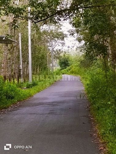 Chính chủ bán đất thổ cư, 1 sẹc Tỉnh Lộ 7, xã An Nhơn Tây, Củ Chi