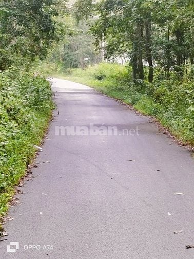 Chính chủ bán đất thổ cư, 1 sẹc Tỉnh Lộ 7, xã An Nhơn Tây, Củ Chi