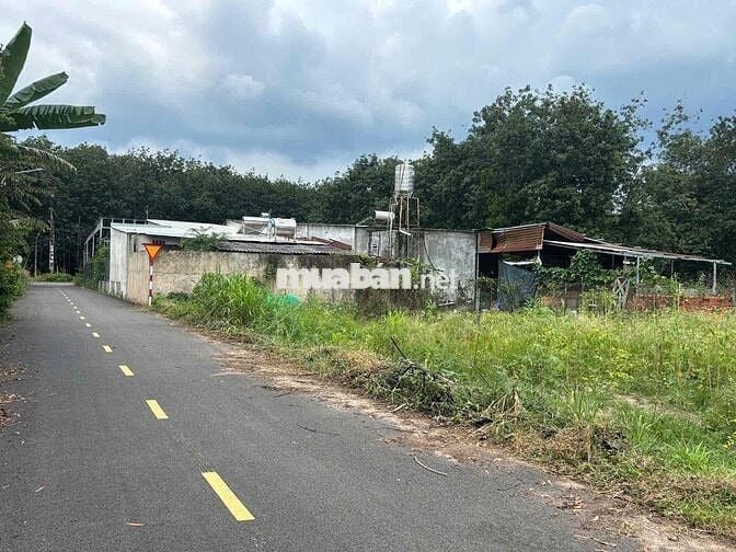 Cách DH chỉ 100m có lô đất vuông vứt 225m2 giá cực mềm chỉ 320tr