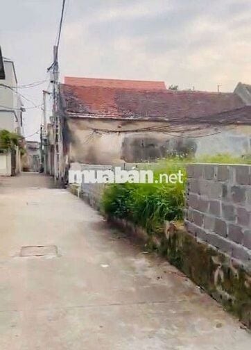 CẦN TIỀN BÁN ĐẤT THƯỜNG TÍN GẤP