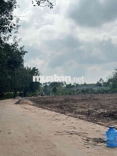 Đất Mặt Tiền Đường DH 519 Thuộc Xã Phước Thành .Tp HCM Chỉ 500tr