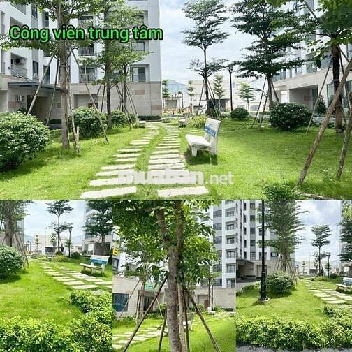 Cần bán gấp căn 55m2 đẹp chung cư Iris Tower Bình Hoà Thuận An