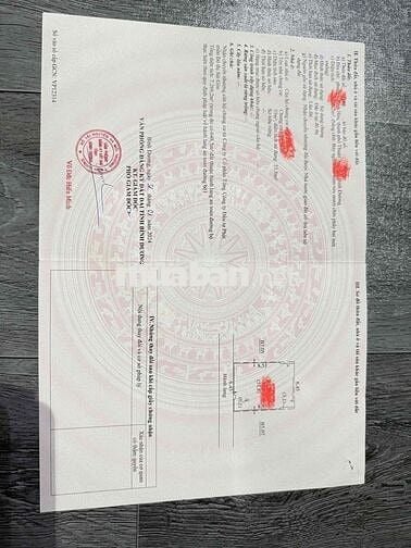 Cần bán gấp căn 55m2 đẹp chung cư Iris Tower Bình Hoà Thuận An