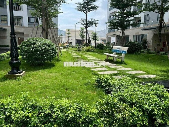 Cần bán gấp căn 55m2 đẹp chung cư Iris Tower Bình Hoà Thuận An